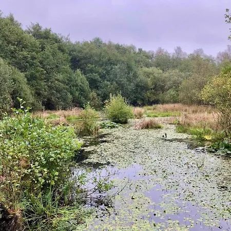 4 Star In Ansager-by Traum