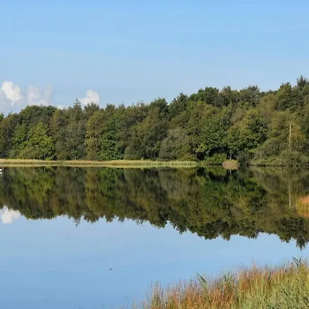 4 Star In Ansager-by Traum *