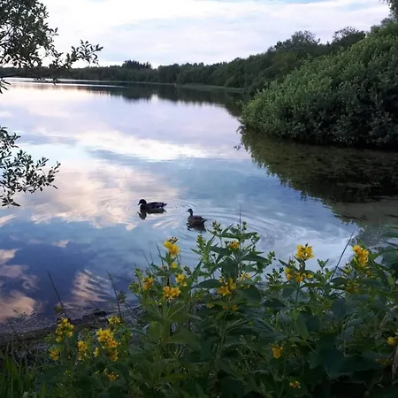 4 Star In Ansager-by Traum