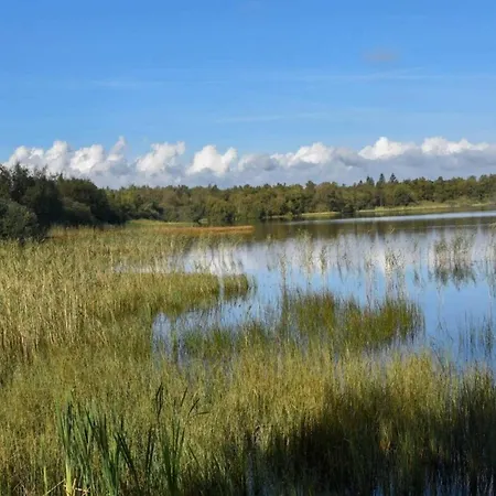 Hébergement de vacances 4 Star In Ansager-by Traum