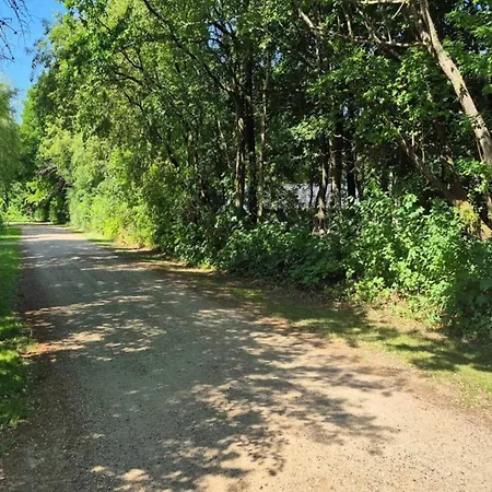 4 Star In Ansager-by Traum *