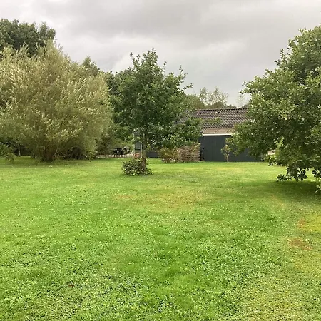 4 Star In Ansager-by Traum *