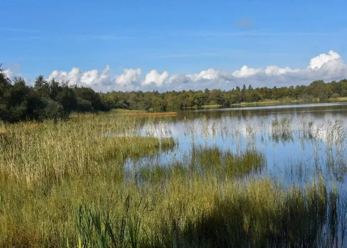 Σπίτι διακοπών 4 Star In Ansager-by Traum